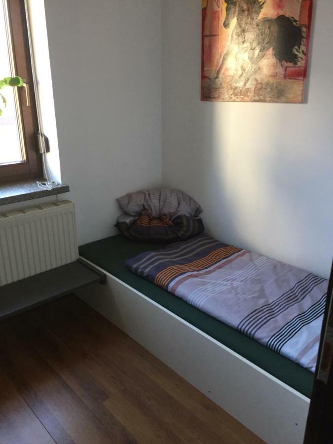 Schulze Freital